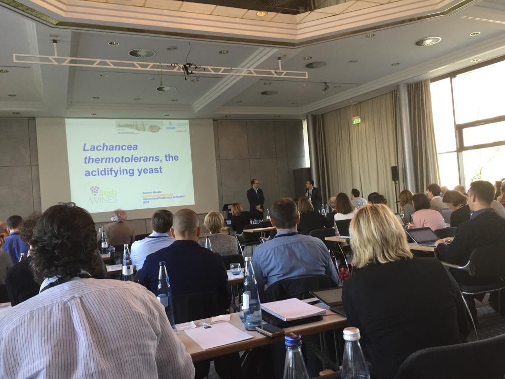 silgimenez121's tweet photo. Se están desarrollando hoy en Alemania las XXIX Jornadas Científicas de @LOenology #vinificación #biologicaltools #entorno cambiante #Originalbyculture https://t.co/6AQNFng40Q