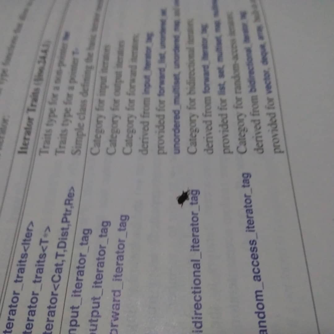 getNerdGoCode's tweet image. Life proof that C++ is for everyone!
This little beetle came out of nowhere and well I am in need of a study pal for the day.
The question is, how good this little guy would be at debugging?
@cpphl @cppnow @c_plus_plus @CppCon @meetingcpp @lefticus #cplusplus