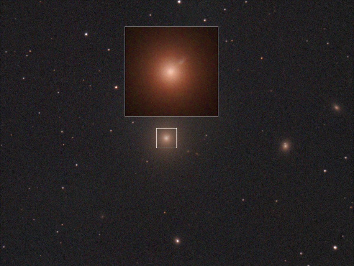 Felt a bit inspired by today's picture the #BlackHole from #EventHorizonTelescope so I took this picture of the host galaxy #M87 this evening. Managed to image the 5000LY long jet coming from the blackhole! Nikon D90, ISO800, 10x5 mins on my trusty Meade LX10 8" telescope.