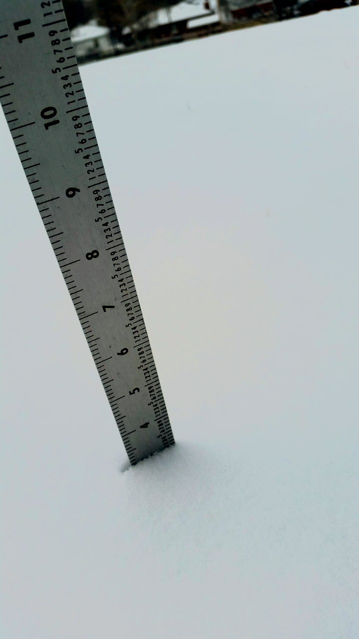 7.4 inches on a ruler deals