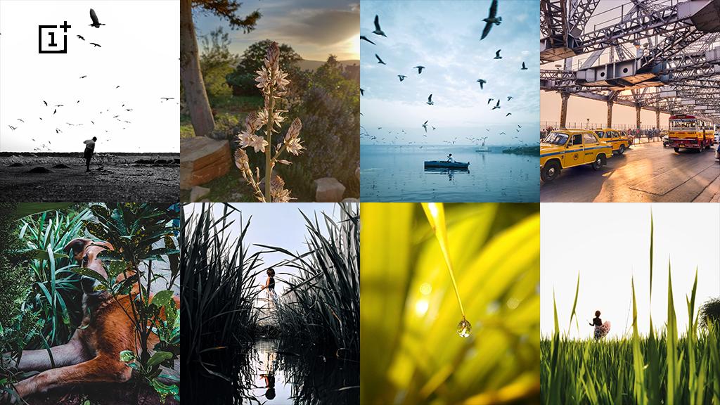 oneplus's tweet photo. Got some epic photos you want to share? Check out these awesome shots by our #ShotonOnePlus finalists. https://t.co/cs8NFrTALF https://t.co/sRhmzbhj46