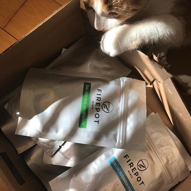 Joolzephoto's tweet photo. Not sure who was more excited about the @firepotfood delivery... #fuelforadventures #newfuelfornewadventures #minipacks #miniadventure #spoiltforchoice #woacagowild #butdoitinstyle #tastyadventures https://t.co/CYSwsOdAiW https://t.co/PzZlyZe3Lc