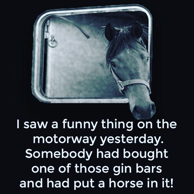 You can’t beat a horse-box conversion! #gin #bar #horseboxconversion