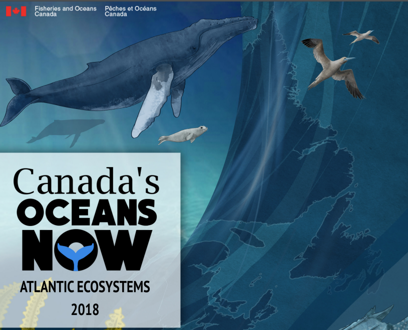 OceanSchoolNow's tweet photo. Yesterday, @FishOceansCAN released their latest report on the state of the #AtlanicOcean. "Canada’s Oceans Now: Atlantic Ecosystems 2018" will be a great tool in understanding our oceans and what needs to happen moving forward!  #oceanliteracy #oceanscience https://t.co/MJZNWz0pzJ