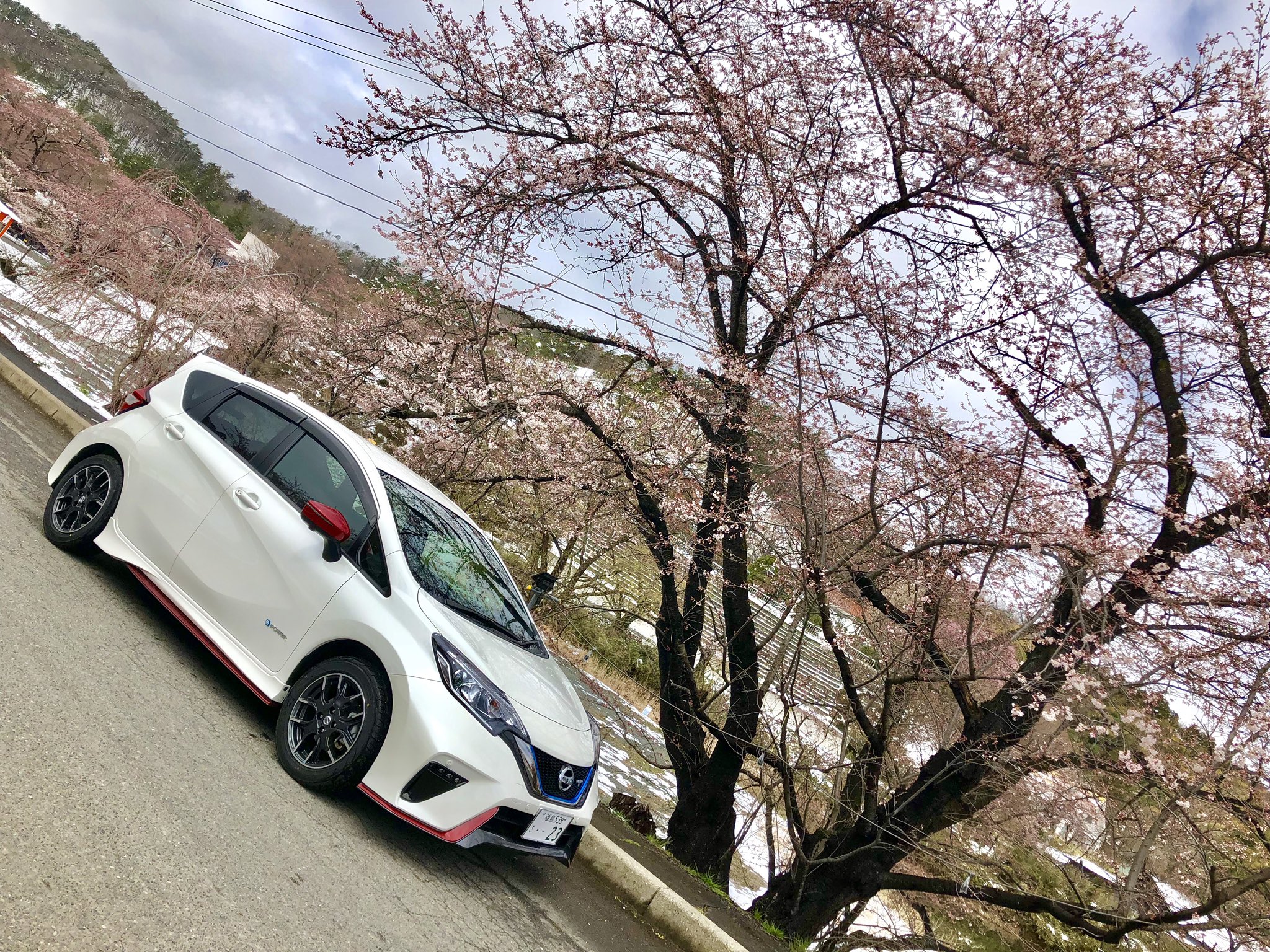 花と歴史の郷蛇の鼻 Twitter Search Twitter