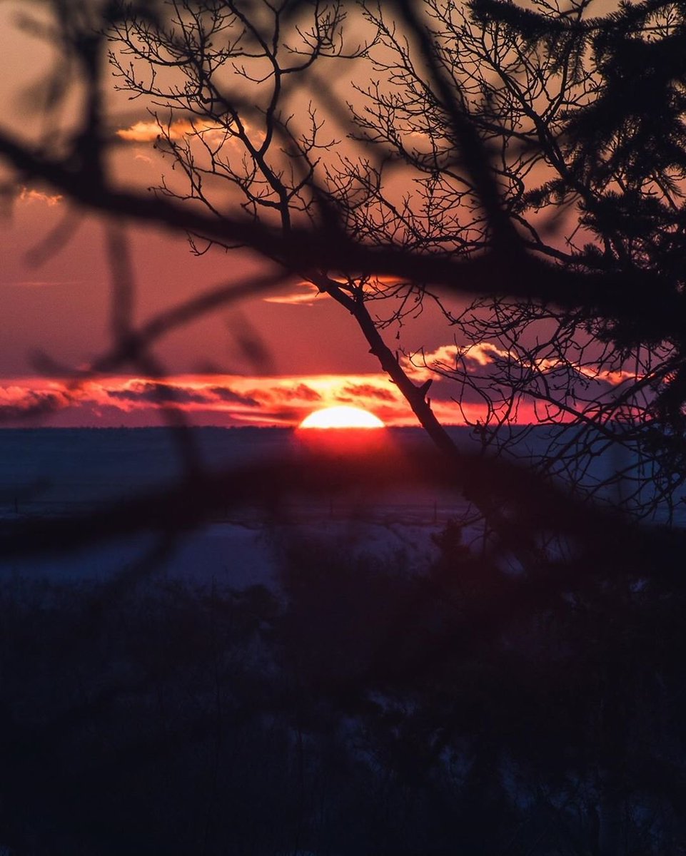 Saskatchewan's tweet photo. Good morning sunshine! 🌞 Did you know Saskatchewan gets more sunshine then any other province? Now, bring on the warm weather! 😎😍
#ExploreSask #ExploreCanada 
📷 @kelsiespassport https://t.co/AeV74rEv73