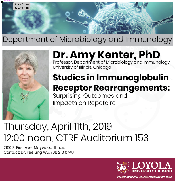 Loyola University Chicago MIIM (@loyolamiim) on Twitter photo Seminar today on immunoglobulin receptor rearrangements by Dr. Amy Kenter from <a href="/UICMicrobiology/">UIC Microbiology</a>! Seminar today on immunoglobulin receptor rearrangements by Dr. Amy Kenter from <a href="/UICMicrobiology/">UIC Microbiology</a>!