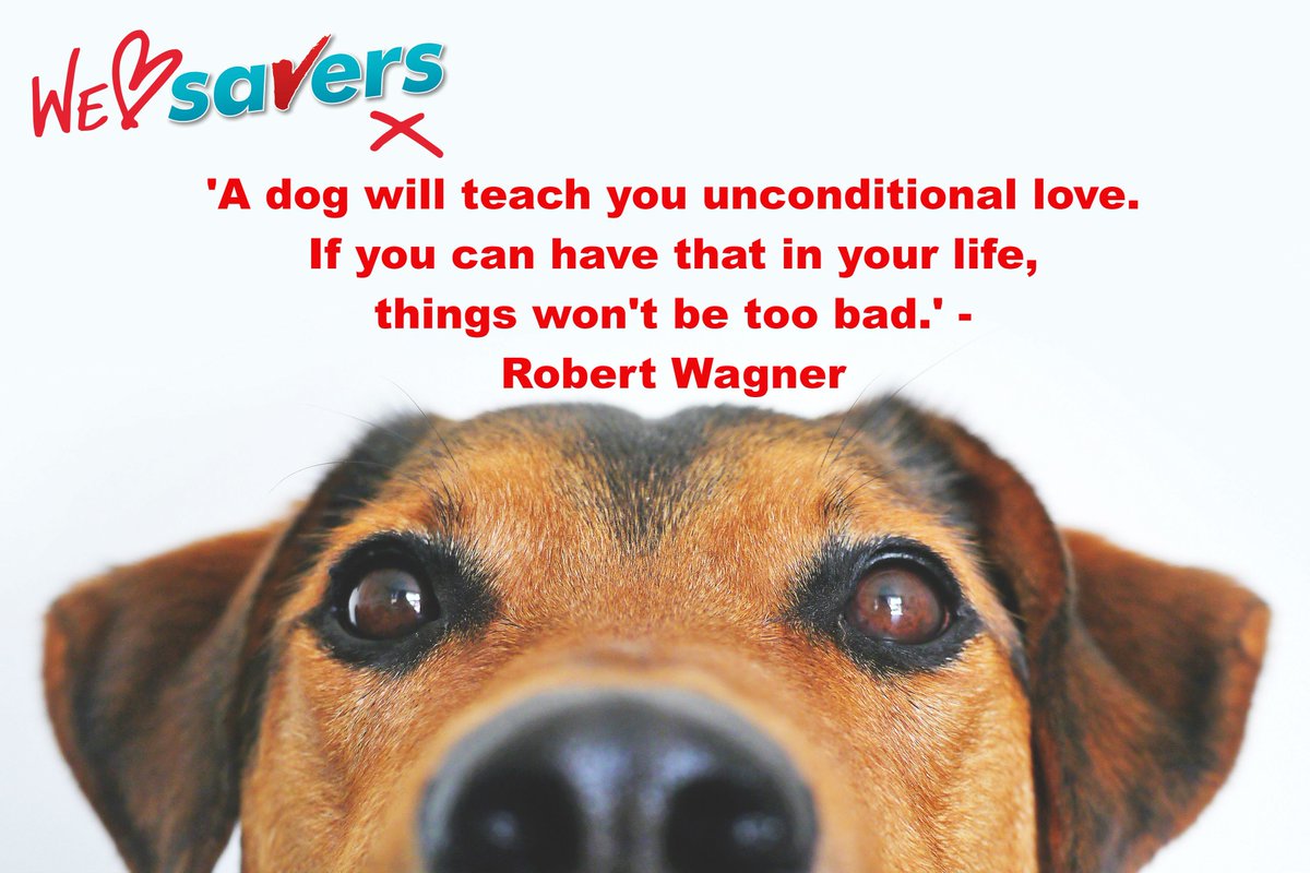 Happy International Pets Day🐶🐱❤️

Do you love your job as much as you love your pets? If not Visit savers.jobs 😃 #NationalPetDay #love #work