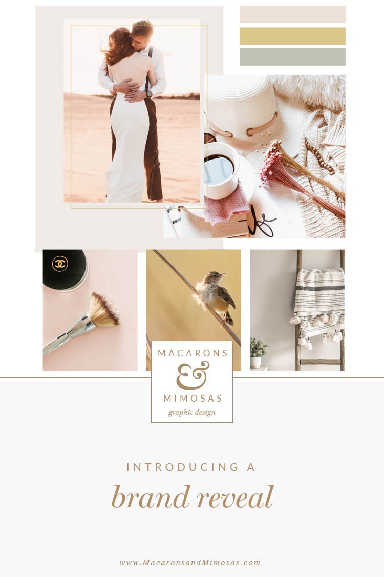 macaronsmimosas's tweet photo. Custom Brand Reveal :: Amal East Photograpy https://t.co/06XSivXNvX https://t.co/v5ayCxEjHP