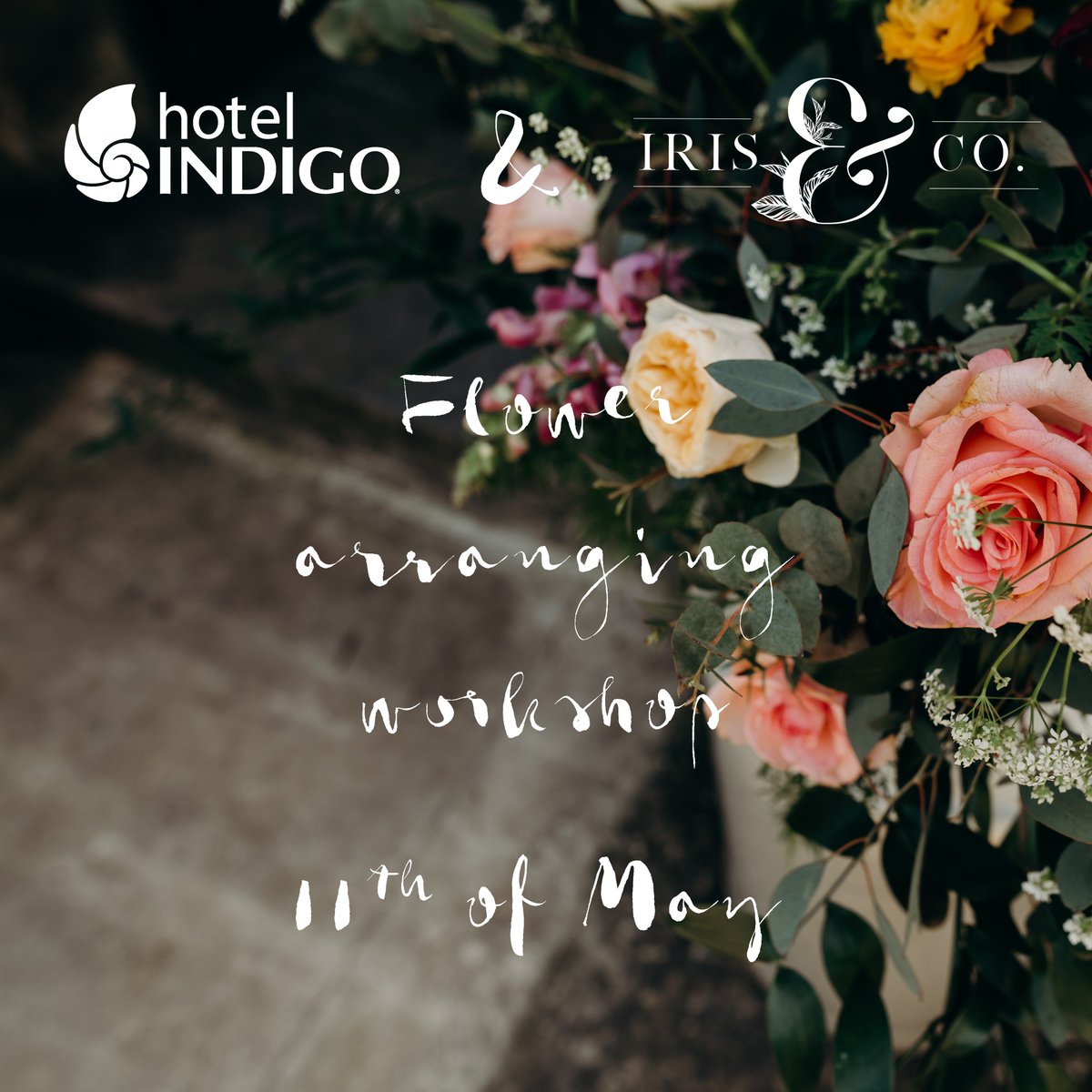 Indigo Kensington tweet media