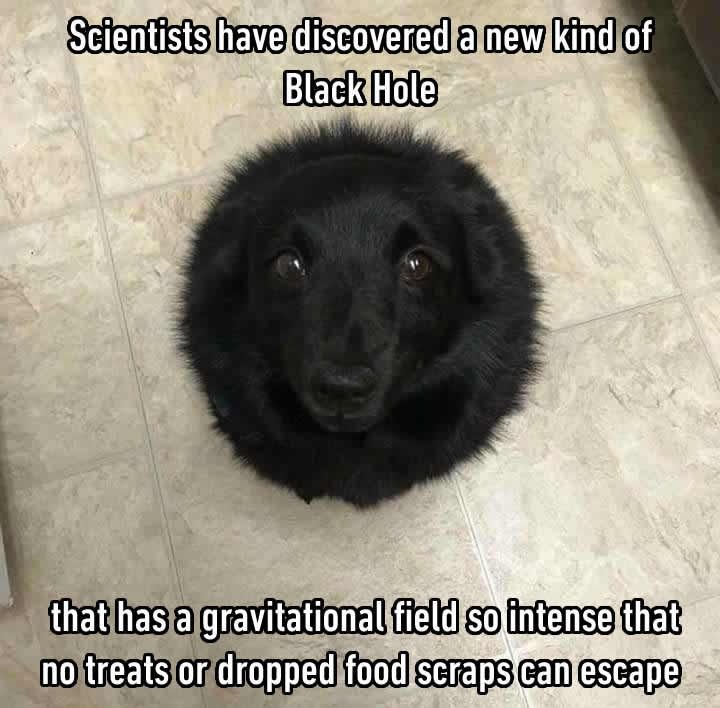 9GAG's tweet photo. Supermassive black boi.
#blackhole https://t.co/13sDgZAsq6