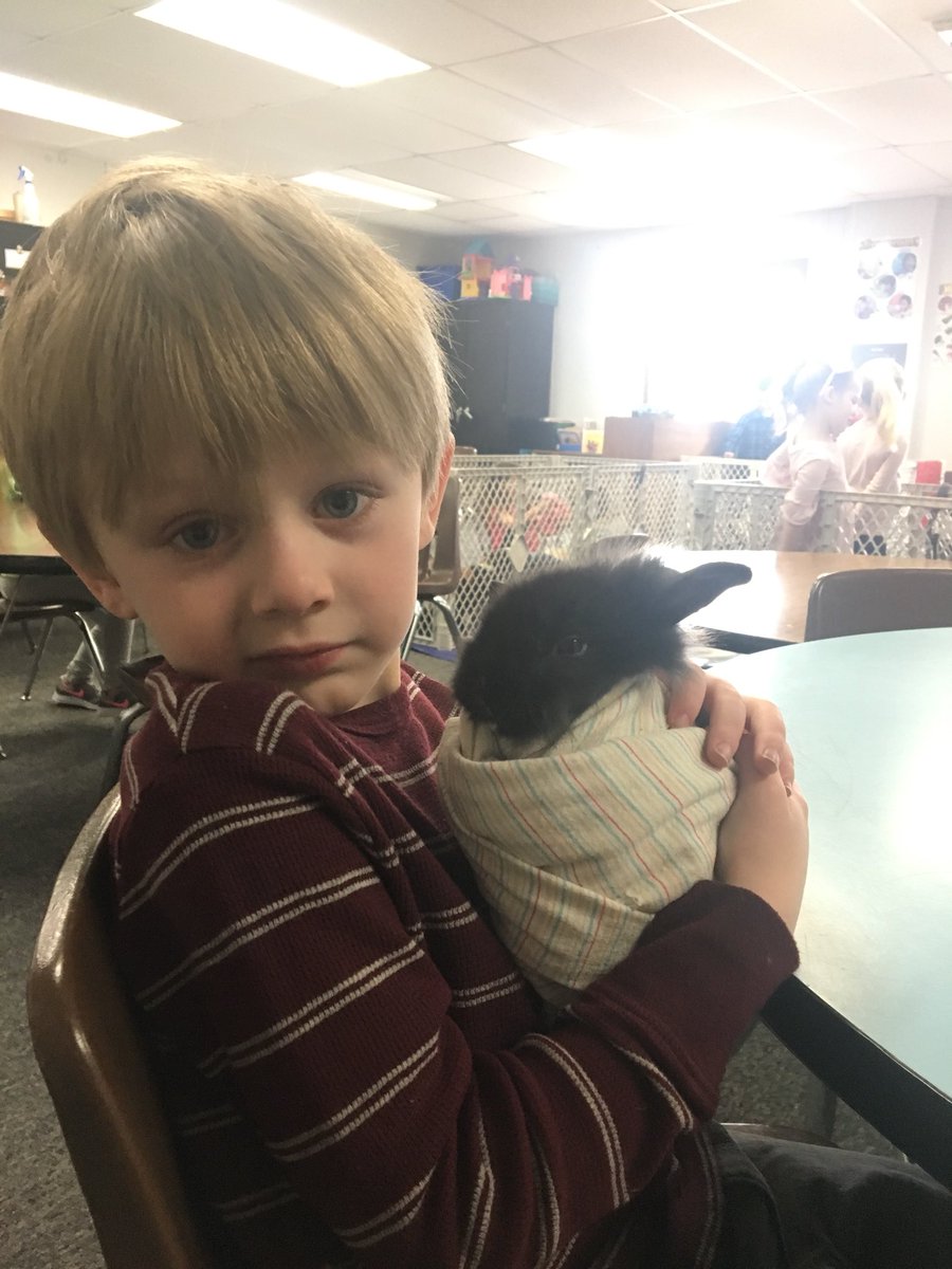 EbKbyrne's tweet photo. Barn Babies: Our littlest Vikings care for kittens, bunnies, chicks &amp; play with puppies, a lamb, and a piglet #EBpk https://t.co/eolYKVx37Q