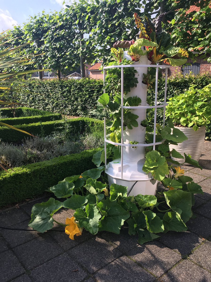 Vers eten uit je eigen moestuin, zonder onkruid te wieden?
Dat kan! Suzanne Broers van #MoestuinbySuus vertelt je alles over verticaal moestuinieren op het Issue Event zondag 14 april 2019!
Tot zondag.
12.00-18.00u
Knook Breda, Veldsteen 2