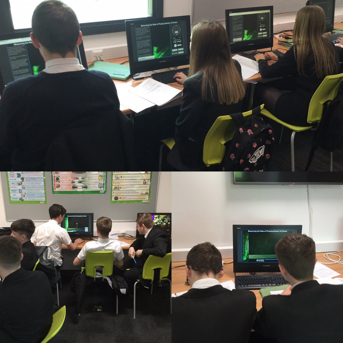 ACS_science's tweet photo. Year 10 using a virtual experiment to investigate the rate of photosynthesis 👩🏻‍🔬🌿👨🏼‍🔬🌝  #photosynthesis #wjecbiology #virtualexperiment @Computing_ACS https://t.co/81Esfu3Jyv