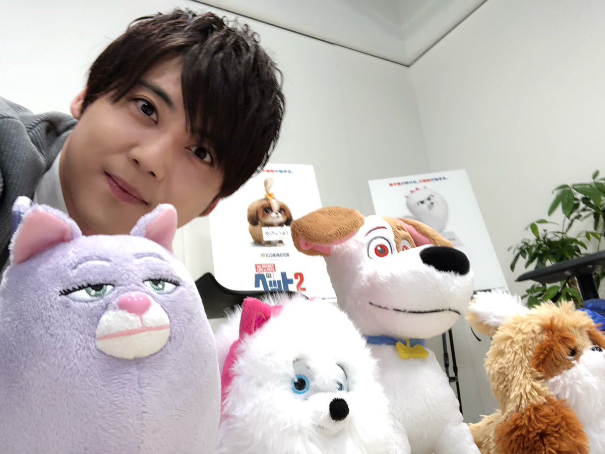 梶裕貴 Yuki Kaji Auf Twitter 梶 ペット2 公開決定スペシャル 今日 4月11日はペットの日 動物たちに愛を伝えましょう このあと 19時からline Liveで生放送 是非ご覧ください みんな大好き宮野さんもいるよー 映画ペット2 T Co