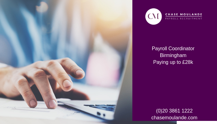 chasemoulande's tweet photo. Payroll Coordinator required in #Birmingham on a permanent basis, paying up to £28k, more details on our website: https://t.co/7Peubst7Jo 

#Chasemoulande #Payrollcoordinator #Payrolljobs #Payrollvacancy #Payrollposition #Payrollprocessing #Payroll #Payrollbirmingham #Payrolljob https://t.co/oAAQCIq5GD