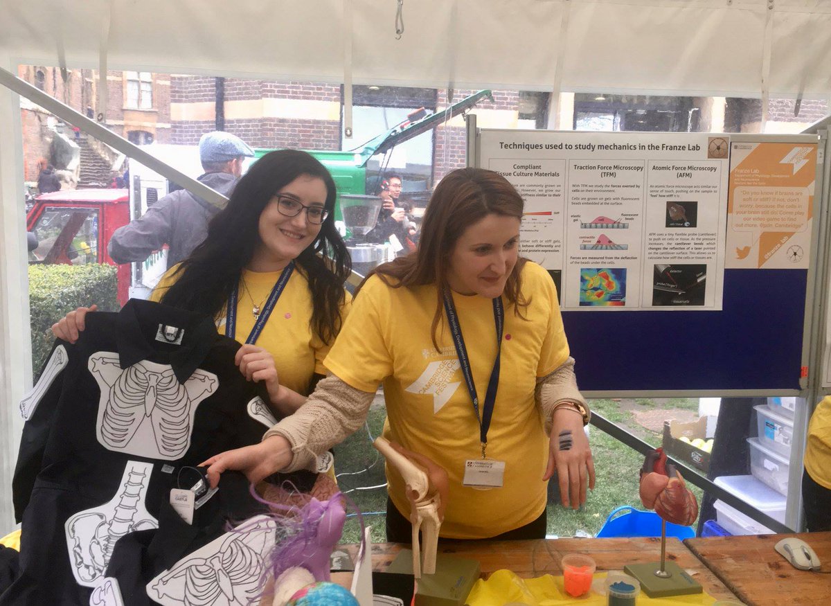 Cambridge Anatomy camanatomy Twitter Profile Sotwe