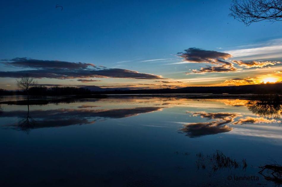 UmbriaTourism's tweet photo. Sei appassionato di #fotografia naturalistica? Ad #Alviano c'è un autentico paradiso di #uccellimigratori, oasi #WWF. #svassi #ardeidi #picchi #cuculi #nibbibruni e #pulli per uno spettacolo davvero magnifico! https://t.co/kTnrZoir76 Ph di Iannetta #umbriacuoreverde https://t.co/UNZVNTA9Fc