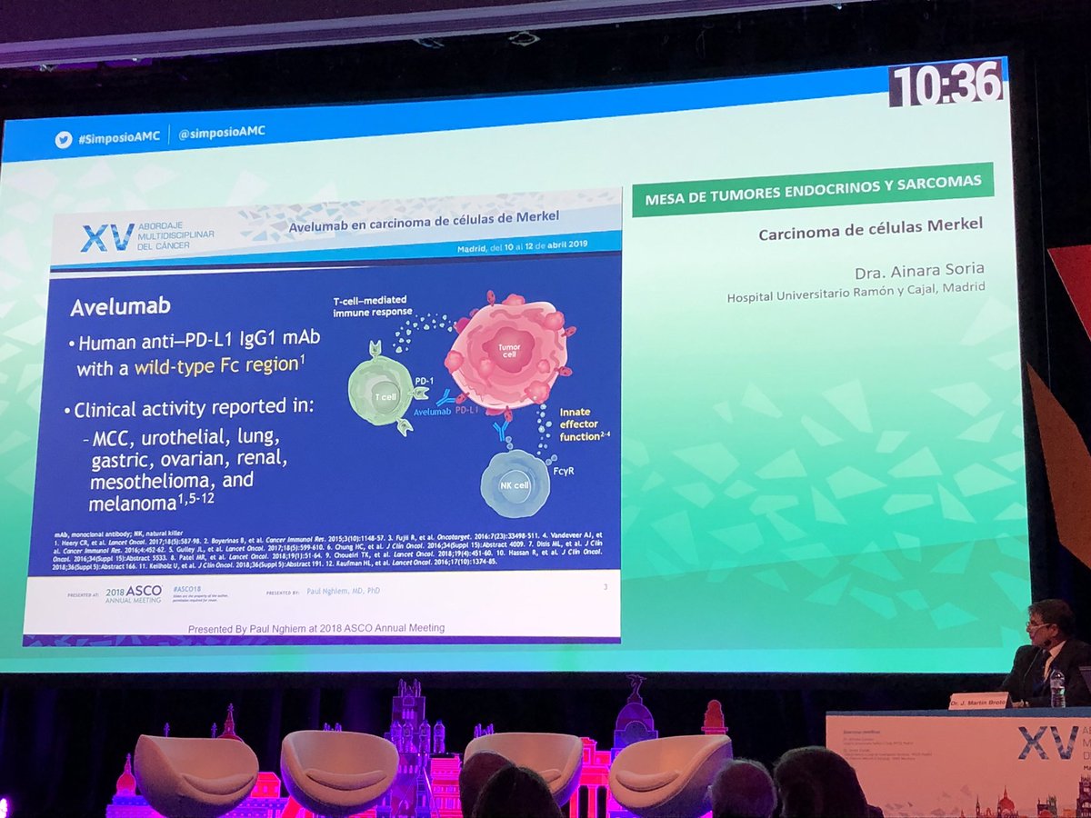 PabloElpeibolin's tweet photo. Abordaje Multidisciplinar. Dra Ainara Soria hablando de Merkel y Avelumab. https://t.co/eCfcjaJW6e