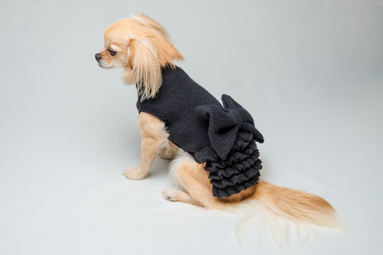 furdrobe's tweet photo. VIP #cashmere jumper for #dogs: https://t.co/yk1zH3xKHQ     #pets #sweater #dogs #dog https://t.co/FeoxYGXGNQ
