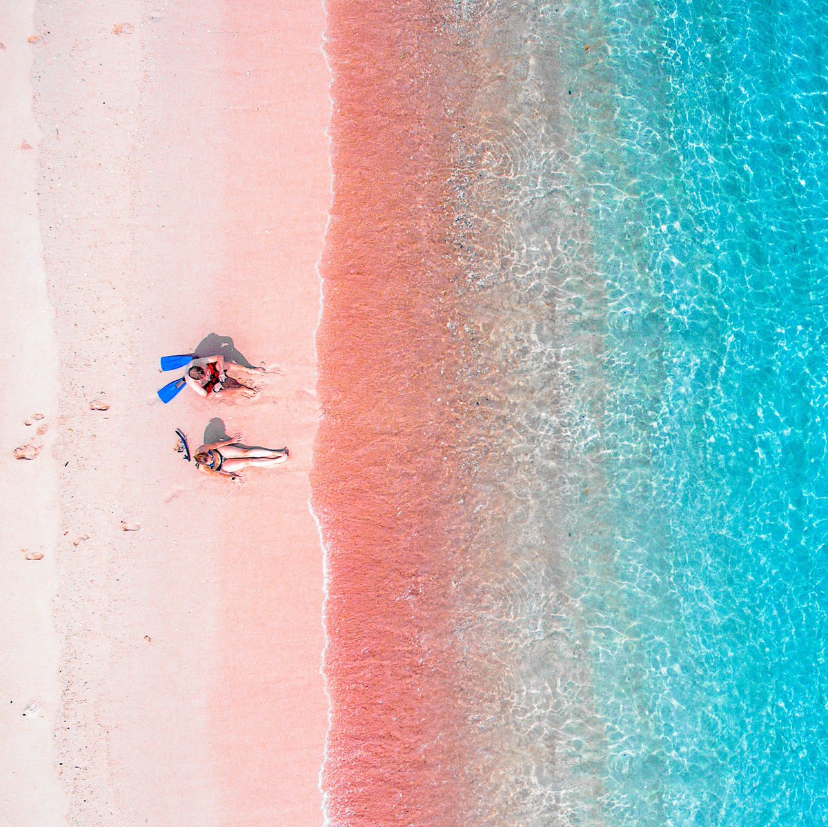 Dreams are made of pink sand and turquoise water. 

#PinkBeach #ExploreLombok #WonderfulIndonesia