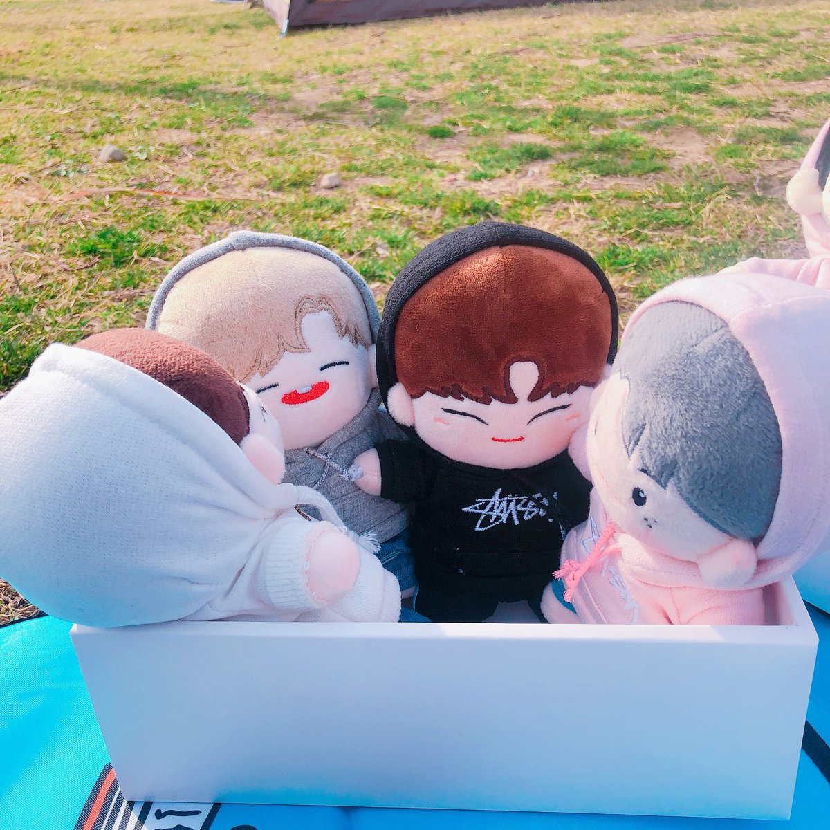 [SLOW] 솜비드💗 ᵂᴱᴸᴼ tweet media