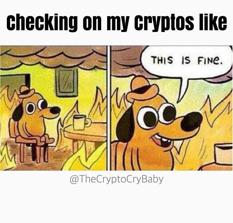TheBeardedTrade's tweet photo. #CryptoMeme long term holds are pushing the stop loss boundaries. https://t.co/pjS91XKngB