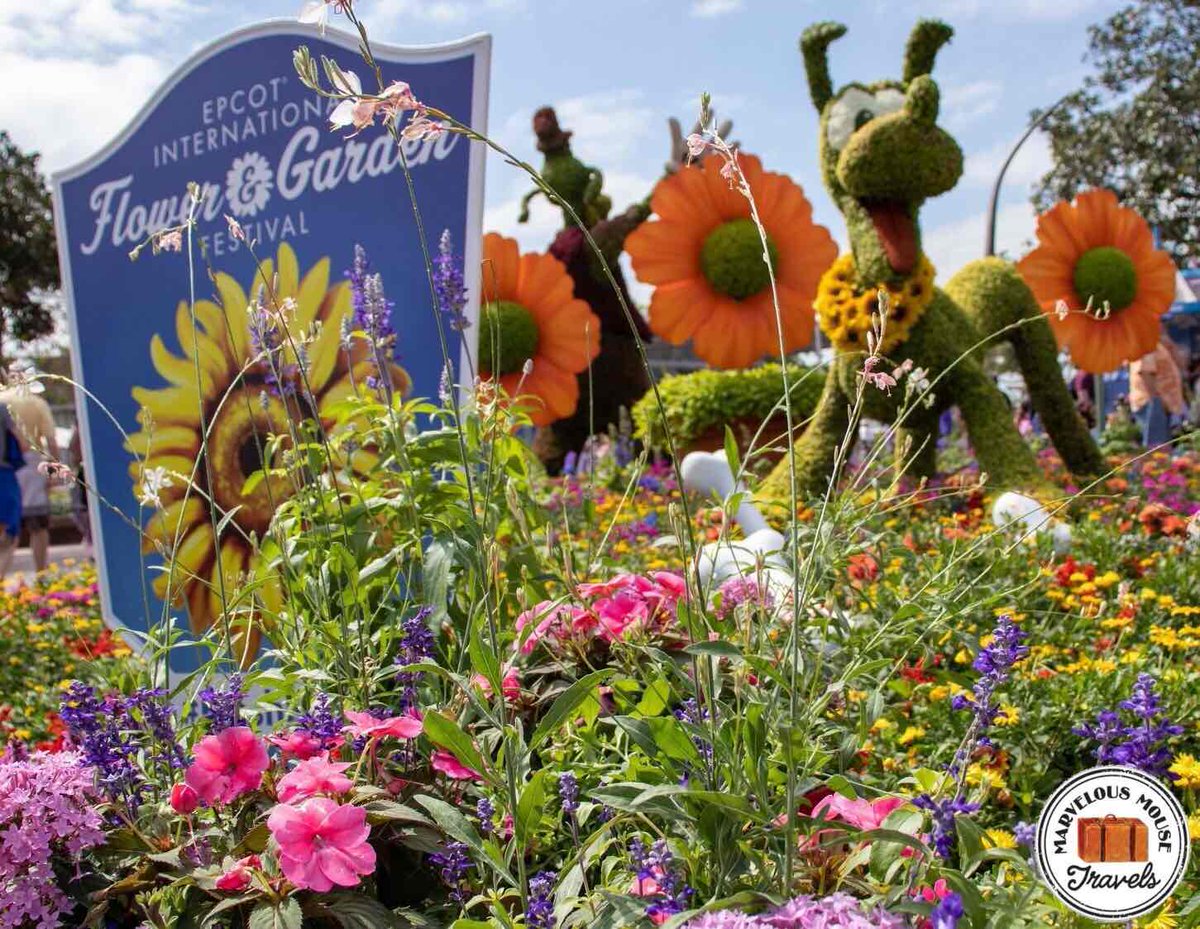 MMTravels_'s tweet photo. We love the Flower &amp; Garden Festival at Epcot! 🌺🌸🌼🌻 Did you know there’s a concert every night of the festival? Including Simple Plan, Lonestar, The Guess Who, &amp; Rick Springfield! https://t.co/HNTJe8cycP
