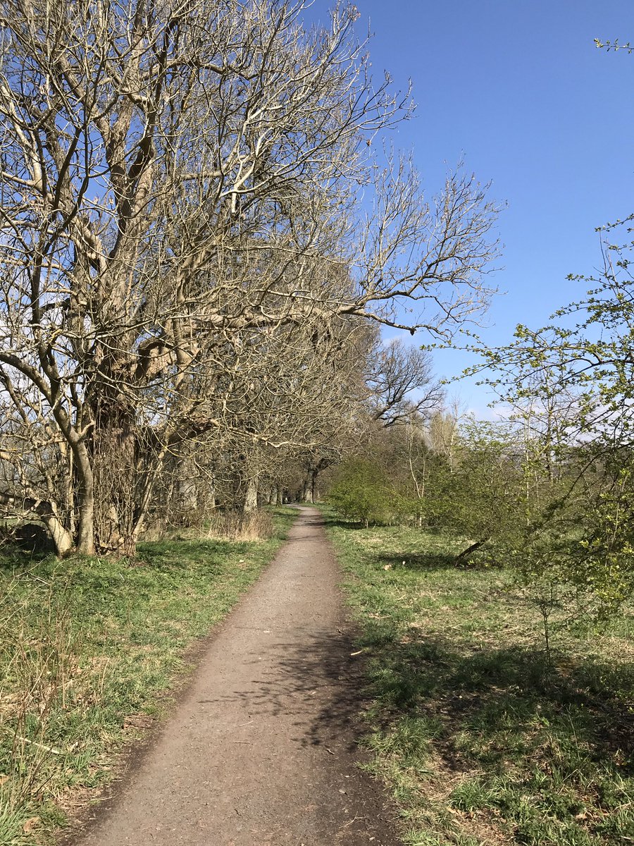 stephersclare's tweet photo. During my baby cow time, Scotland you have been exceptional! ๐ด๓ ง๓ ข๓ ณ๓ ฃ๓ ด๓ ฟ #weecalf #scotland #spring #outdoors #refresh #ukrunchat #troon #ayrshire #perthshire #kinross #findjoyeverywhere https://t.co/JfM3PL0KPu