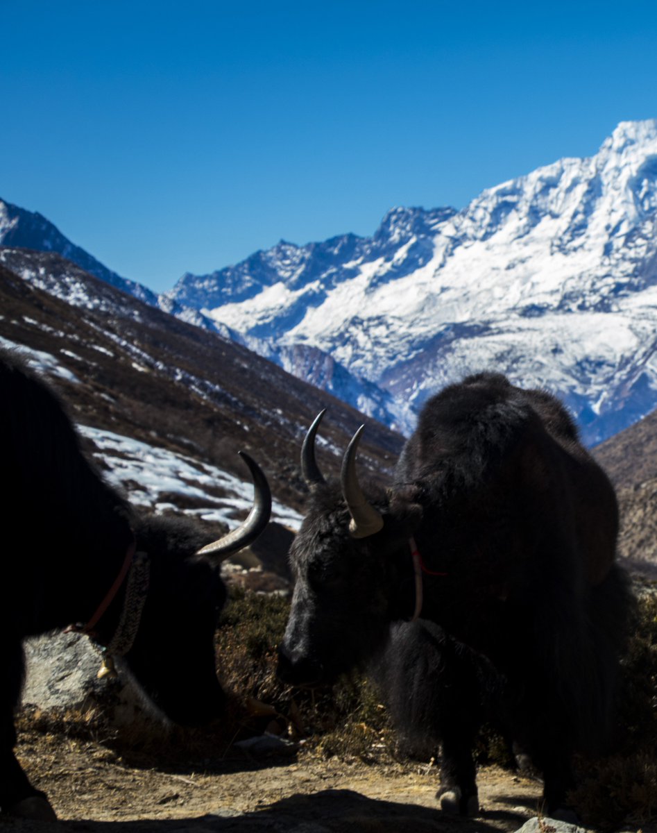 OutsideMaterial's tweet image. outsidematerial.com/portfolio/ever…