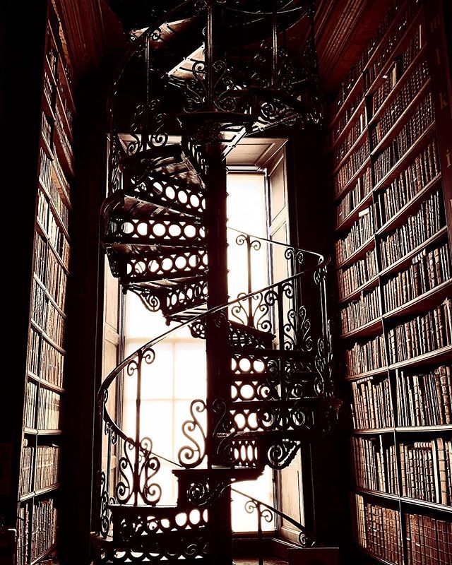 ramseyselim's tweet image. My mama told me to read books, but who knew the staircase to heaven 🌠 would be hidden away in an old library 📚 .

#trinitycollegelibrary #dublin #ireland @trinitycollegedublin @lovindublin @ig_ireland_  #silhouette #light bit.ly/2VzFho9