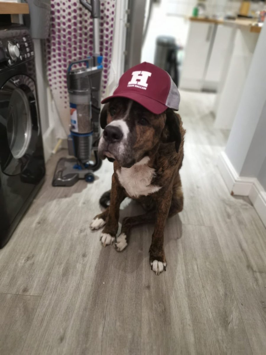 Sheffield Hallam University tweet media
