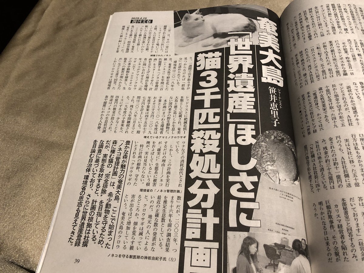 公益財団法人どうぶつ基金 本日発売の週刊文春 奄美大島 世界遺産ほしさに猫3千匹殺処分計画 が掲載されています 文春を読んで 現実を多くの人に知ってもらいたい 拡散お願いします どうぶつ基金 ノネコ管理計画 奄美大島 ノネコ 猫 ねこ ネコ