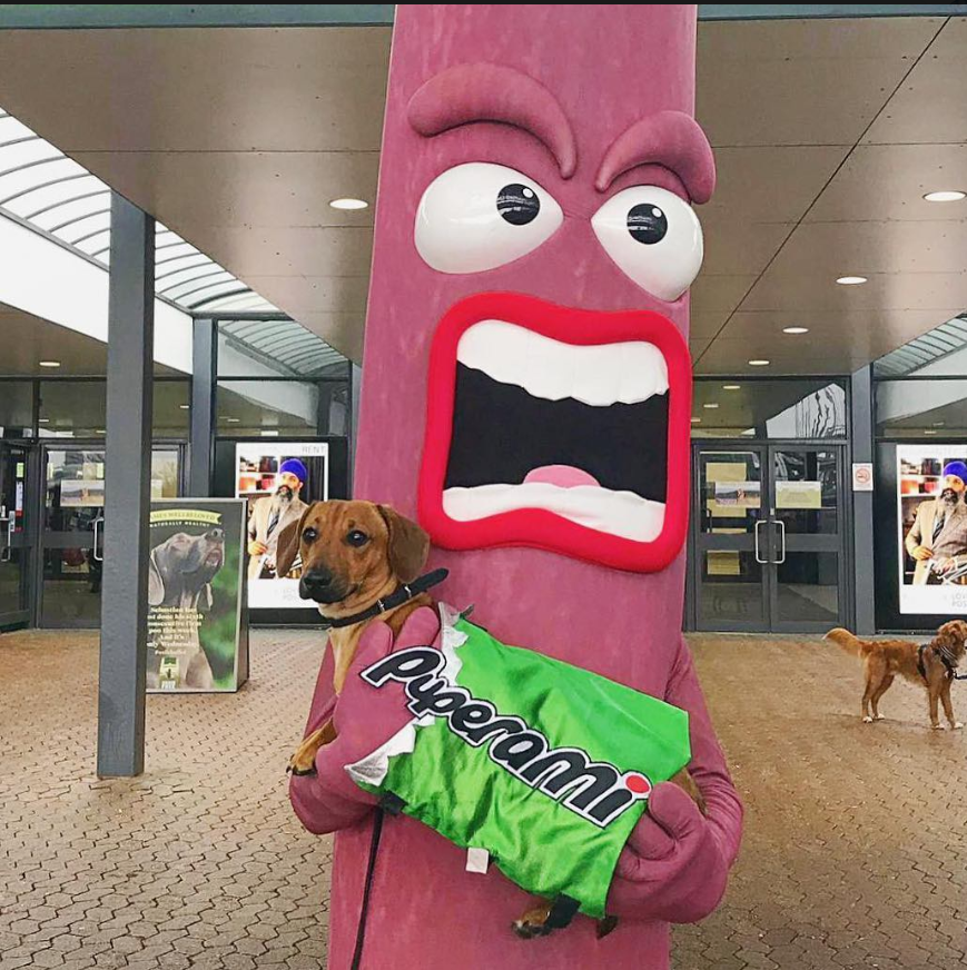 Peperami's tweet photo. Oi Oi!
Itโs #NationalPetDay and Iโm here to tell you that my #Puperami is better than yours!
Remember when I took my little meathead to Crufts? #tbt https://t.co/yyDckVBsVJ