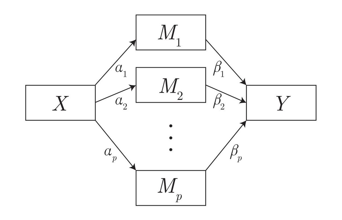 My first paper is out! (with <a href="/DanielOberski/">Daniel Oberski @daob@mastodon.social</a>) 🎉

Exploratory mediation analysis with many potential mediators (open access)
tandfonline.com/doi/full/10.10…

We built a novel algorithm to discover relevant mediators in high-dimensional data.

Extending the boundaries of SEM 💪