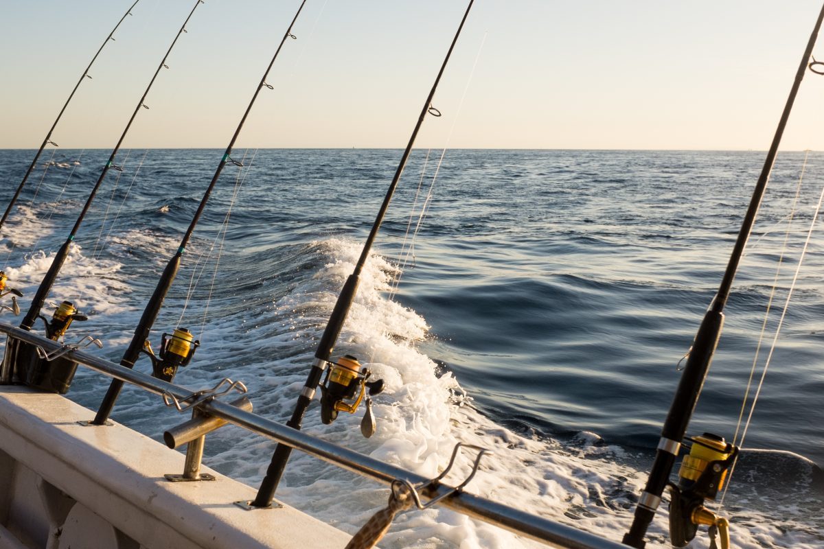 NewYorkRBO's tweet photo. Looking for great fishing tips on Lake Ontario?
#Newyorkrentalbyowner #fishing #nobookingfees #NewYorkRBO #vacationrentals #travel #wanderlust #NewYorkCity @islandlifemag @the1000islands @lkeontariowine @OntLakeCountry https://t.co/eHbiaRVIw0 https://t.co/1LfSs9bjvQ