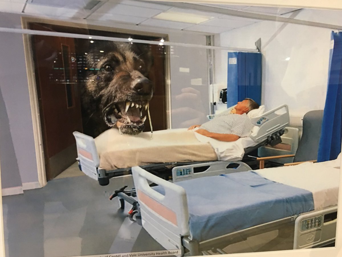 British Geriatrics Society tweet media