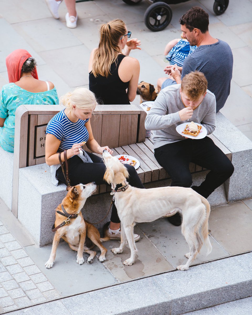 chowdownevents's tweet photo. It’s #NationalPetDay! 🐶 

Here’s just a few four legged friends who joined us at last year’s #ChowDown! https://t.co/ROftHlr5HG