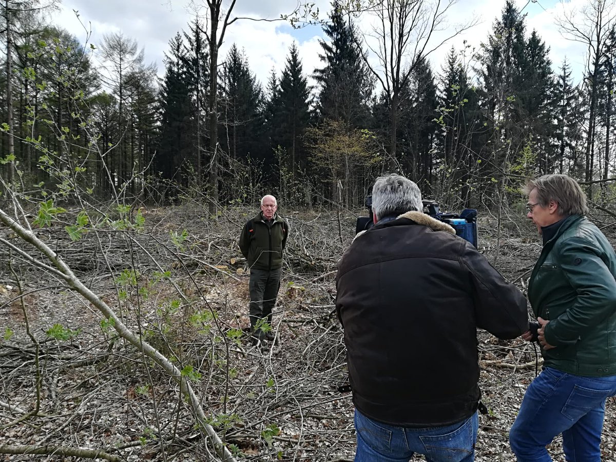 Met omrop Fryslân het bos in
