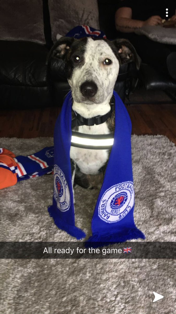 sophie65810466's tweet photo. @RangersFC Willow love the famous🇬🇧 https://t.co/FG3BKnsoSn