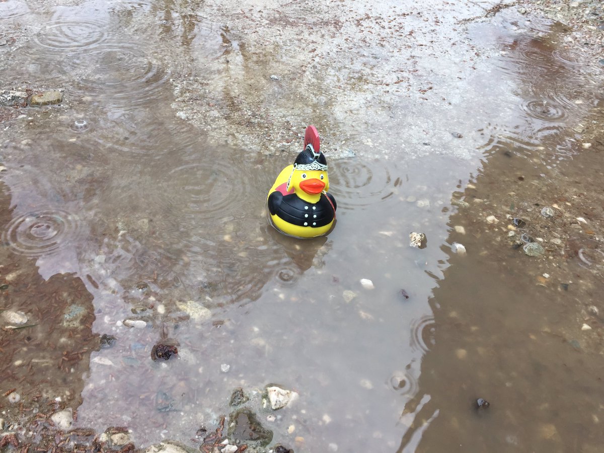 Classics_NHS's tweet photo. Nice weather for ducks! @stalbansmuseums #verduck #duckontour #paestum #NHSItaly2019 https://t.co/N31vjcWfzS
