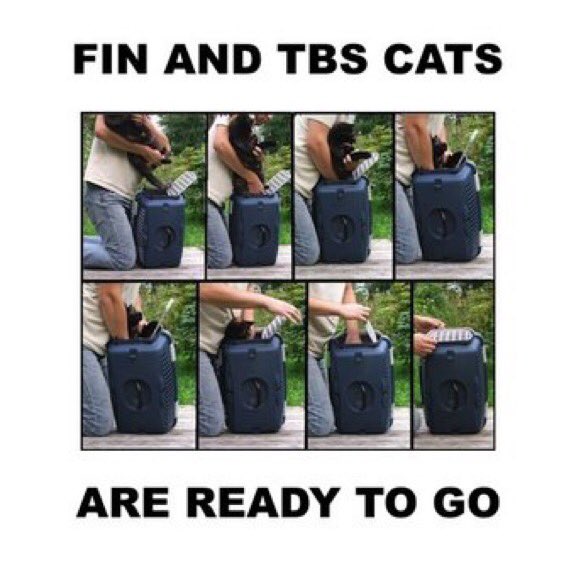 civilservicecat's tweet photo. IT’S THAT TIME OF YEAR AGAIN #onpoli #ontariobudget #dropyourcellphone #sorryjournalists #nofreelunch #doigetlieutimeforthis https://t.co/WlokvesJQS