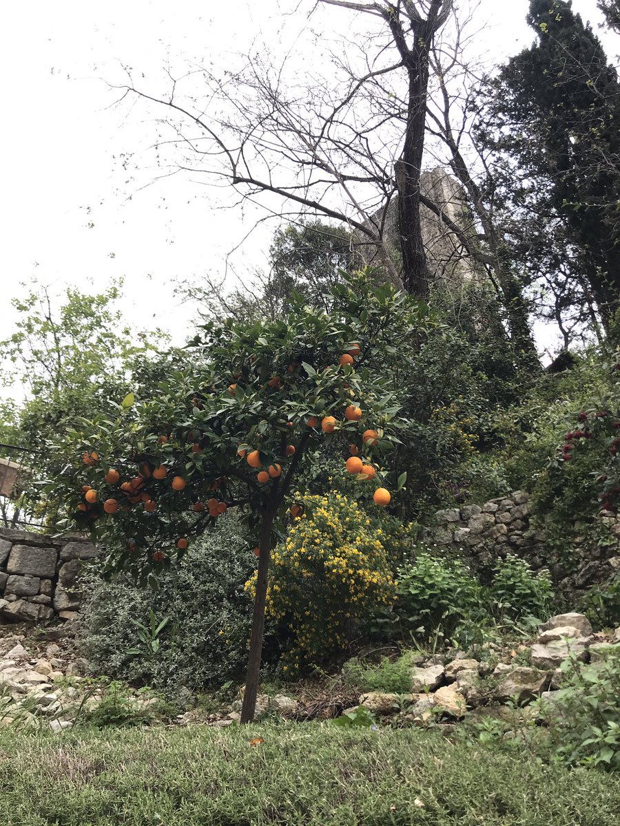 Tour des Solutions Alternatives tweet media