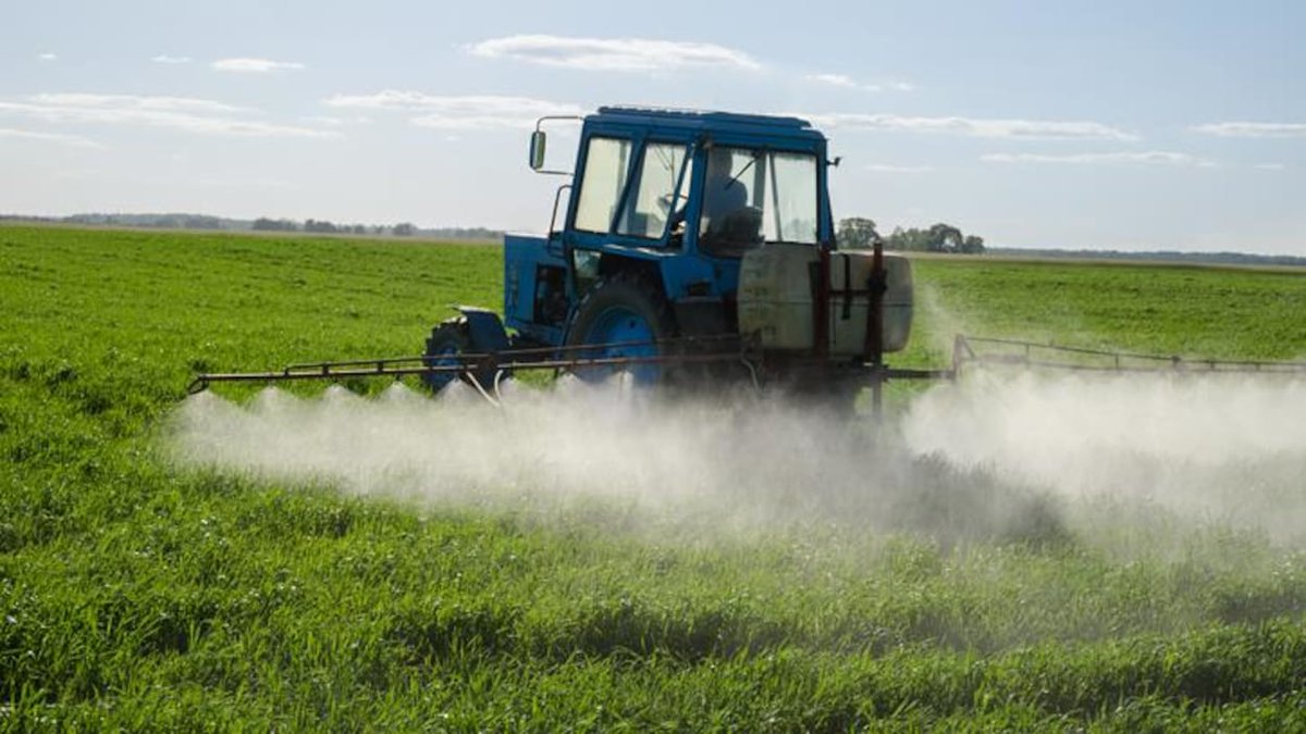 patbonin's tweet image. HONTEUX er révoltant! Québec  @mapaquebec a «tabletté» des solutions pour réduire l'impact des #pesticides. 11 projets novateurs auraient pu être menés de front pour investissement total d'à peine 5 millions de dollars! #lobby

ici.radio-canada.ca/nouvelle/11600…
#santé #PolQc #assnat #lobby