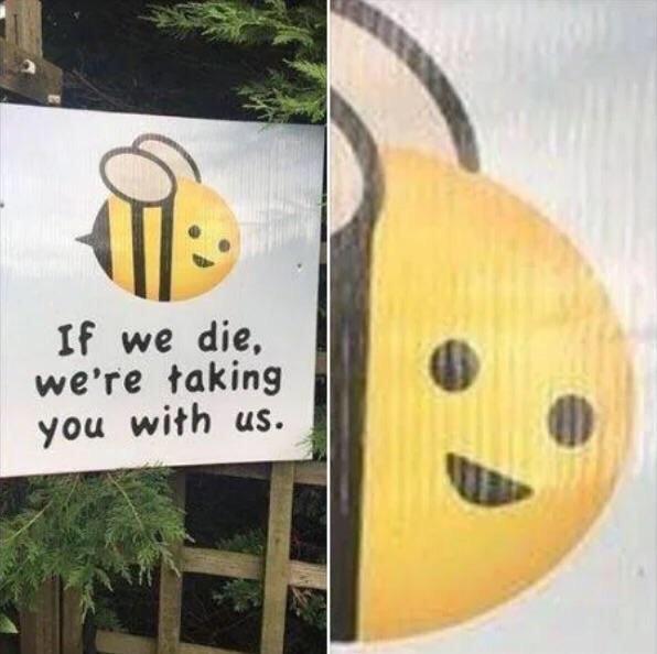 memescentrai's tweet photo. Damn bro, bee careful https://t.co/8X2lf7Az9i