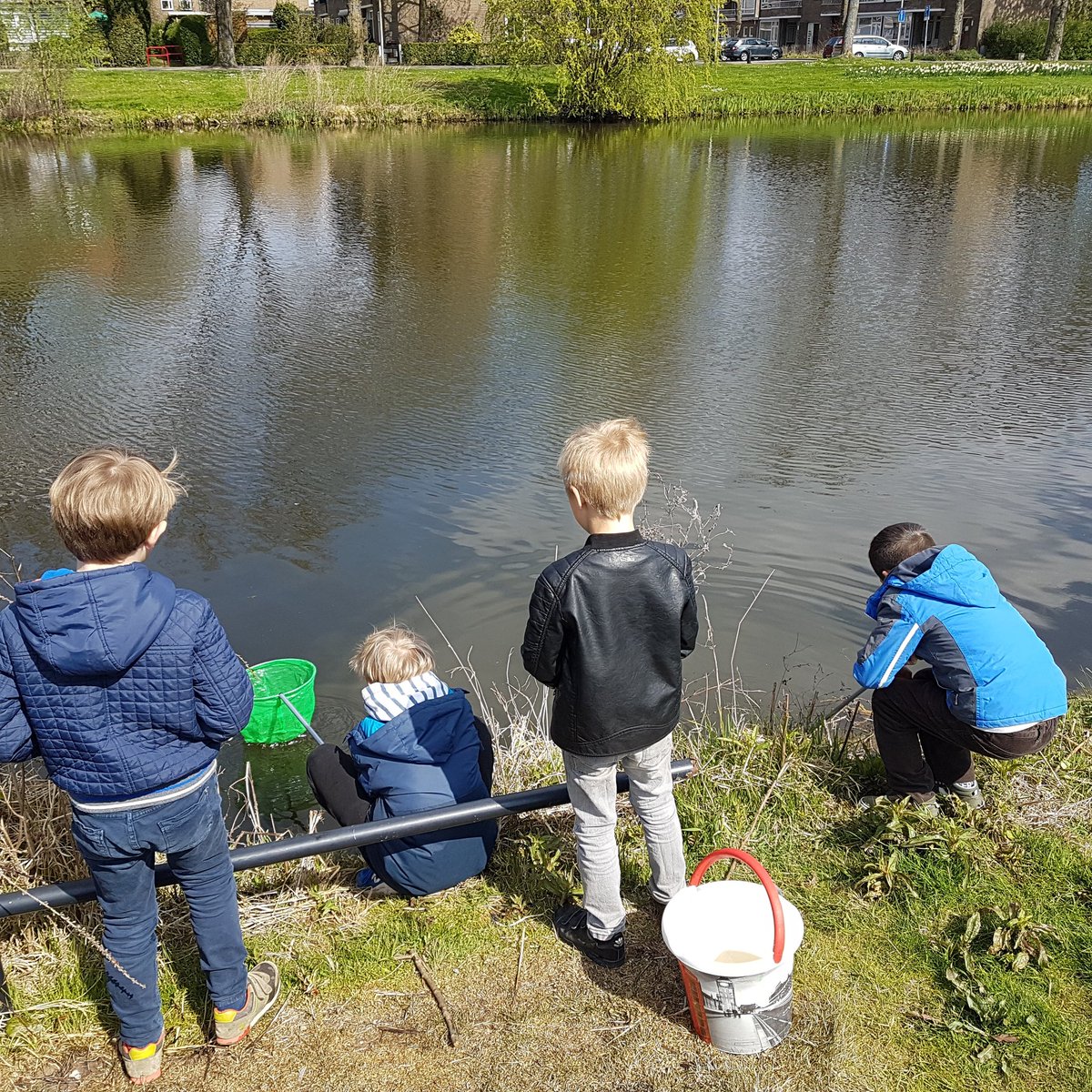 blauwaventurijn's tweet photo. Wij zijn de vijver aan het onderzoeken. 🐳 #water #schepnet #emmer #vijver #waterplanten #natuur #onderwater #waterdieren #groep6 #groep4 https://t.co/rLAiRSbG1U