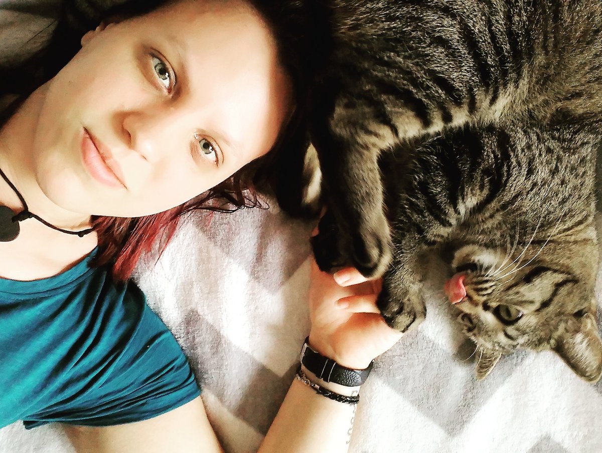 Chubby_Mosse's tweet photo. Če ne pridem v službo, me je pojedu.#keiththecat #samalubezen https://t.co/tQIoXxf5id