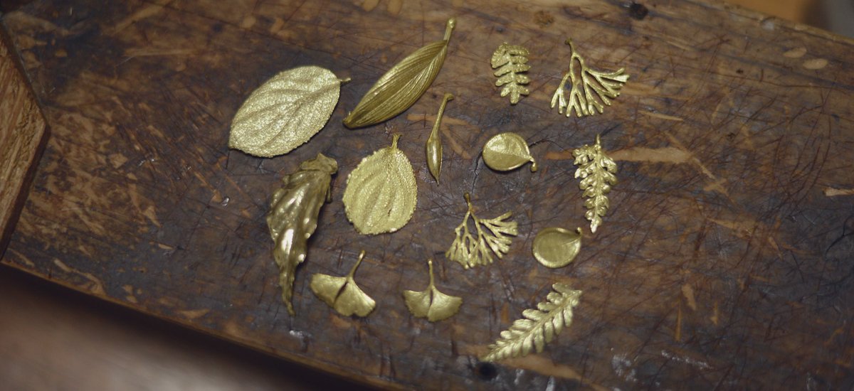 Sin 6月 大阪で天下一植物界というイベントに参加します ボーダーブレイク という 植物販売イベントの変化版 普段の植物モチーフに加え 新たにホマロメナやベゴニアなどの植物を準備中