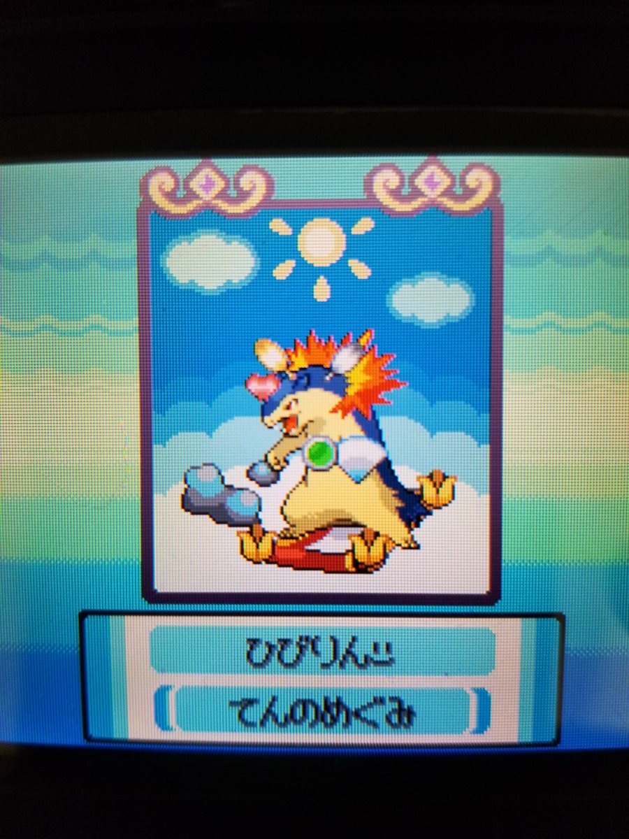 Amazinghisa En Twitter 久し振りにポケモンhgssしたら コーディネートした自分のポケモンがいた ヒビキはhg ひびりんはss ヒロキはプラチナの自分です ポケモンhgss