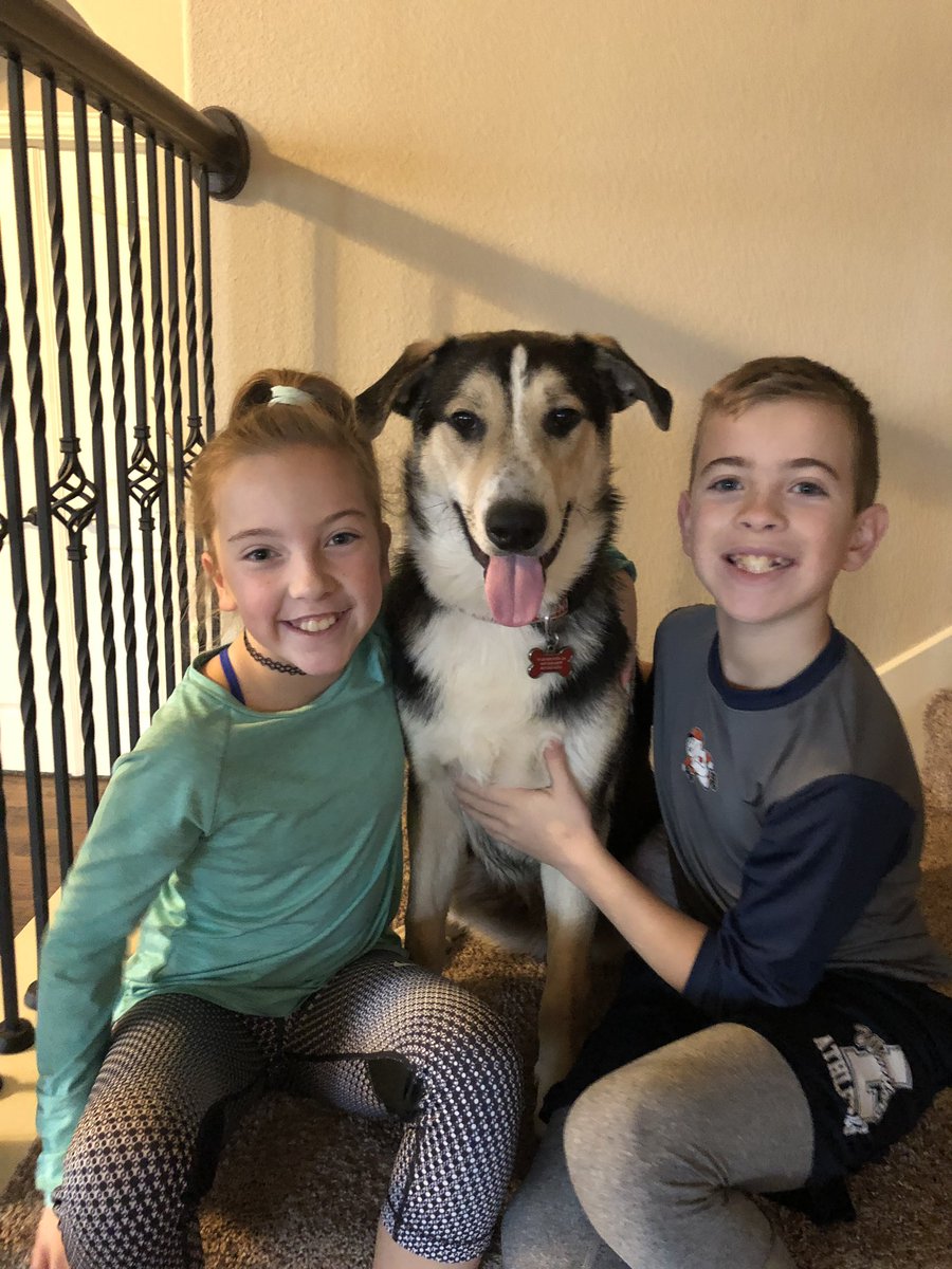 Kstoner09's tweet photo. This is our rescue pup! #iamup #NationalPetDay We definitely hit the jackpot with him!!❤️❤️ https://t.co/ln9RBD8czS